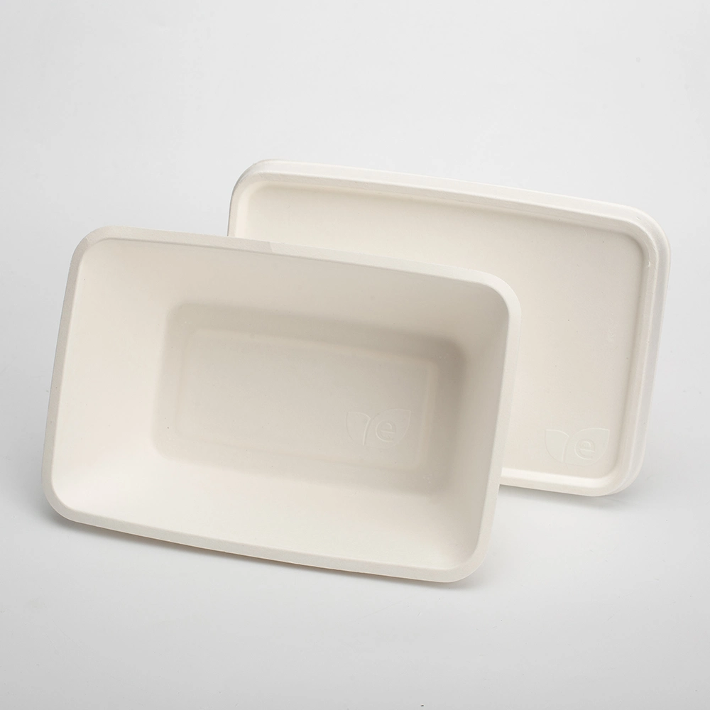 Eco-Friendly Sugarcane Pulp Paper 100% Biodegradable Sugarcane Bagasse Dinnerware Container