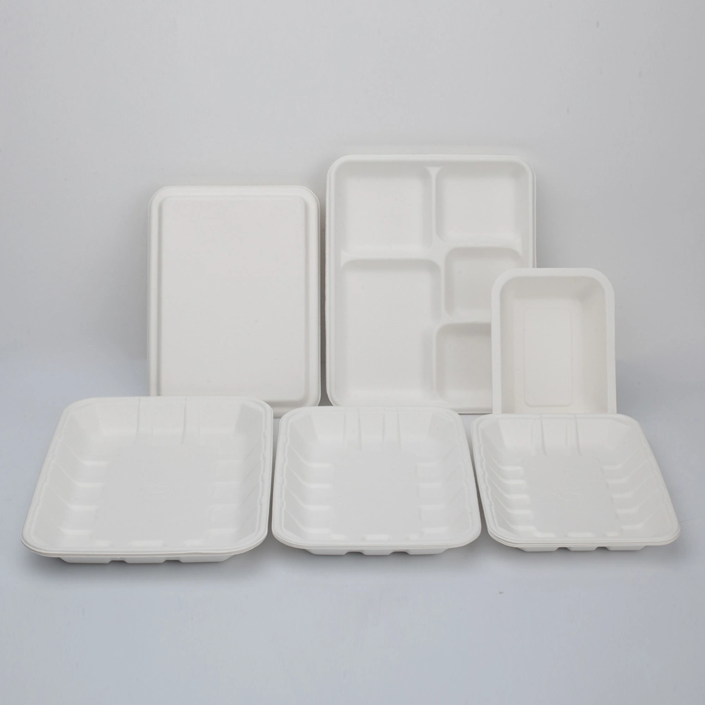 Eco-Friendly Sugarcane Pulp Paper 100% Biodegradable Sugarcane Bagasse Dinnerware Container