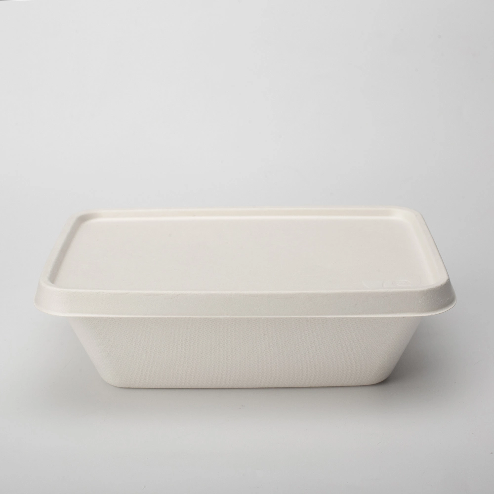 Eco-Friendly Sugarcane Pulp Paper 100% Biodegradable Sugarcane Bagasse Dinnerware Container