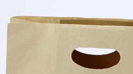 Food Gift Packaging Brown Paper Bags with Die Cut Handle