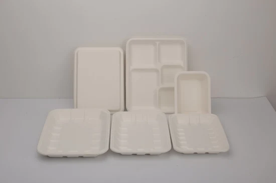 Eco-Friendly Sugarcane Pulp Paper 100% Biodegradable Sugarcane Bagasse Dinnerware Container